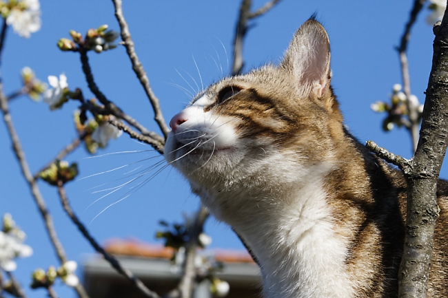 Famille et amis-MAR16-074